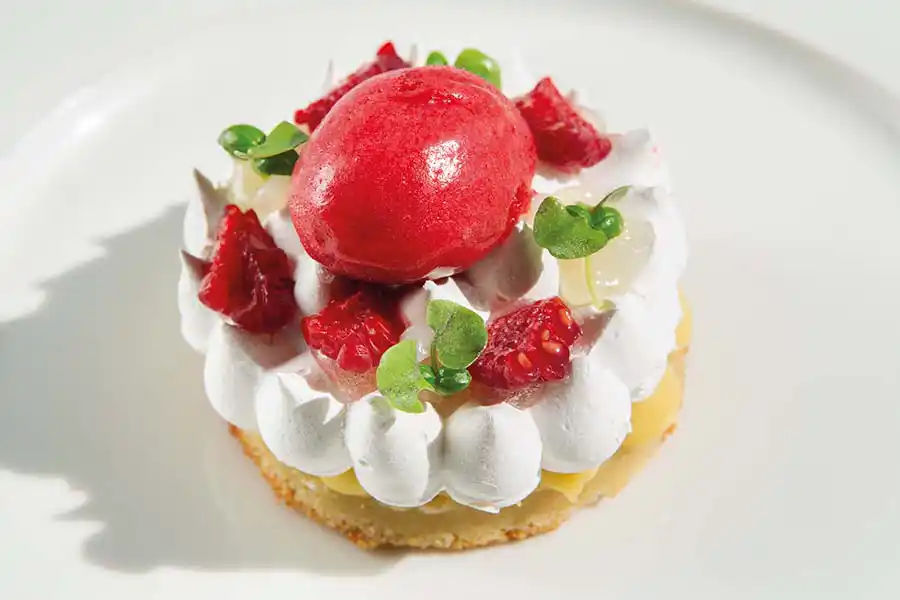 Lemon & Olive Oil Sponge with Sorbet