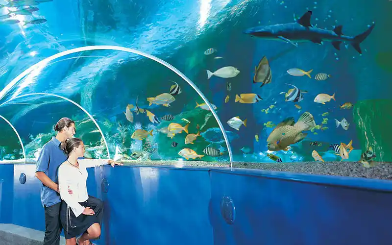 Blue Reef Aquarium