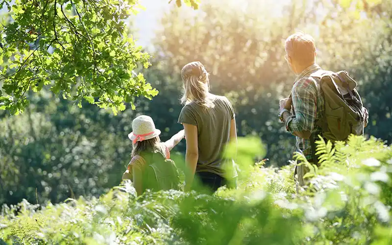 Family walking in woods