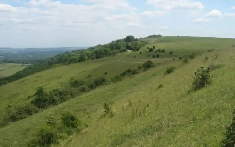 Harting Down landscape